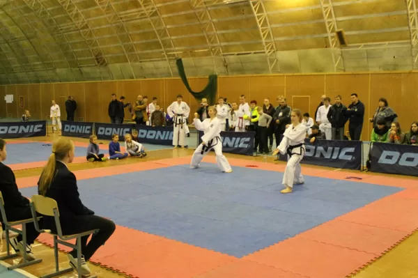 чемпионат и первенство Ленинградской области 2016